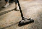 What Causes Carpet Stains And Odors To Reappear?