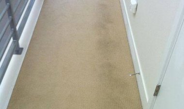 Online Access To Professional Carpet Cleaning Services!