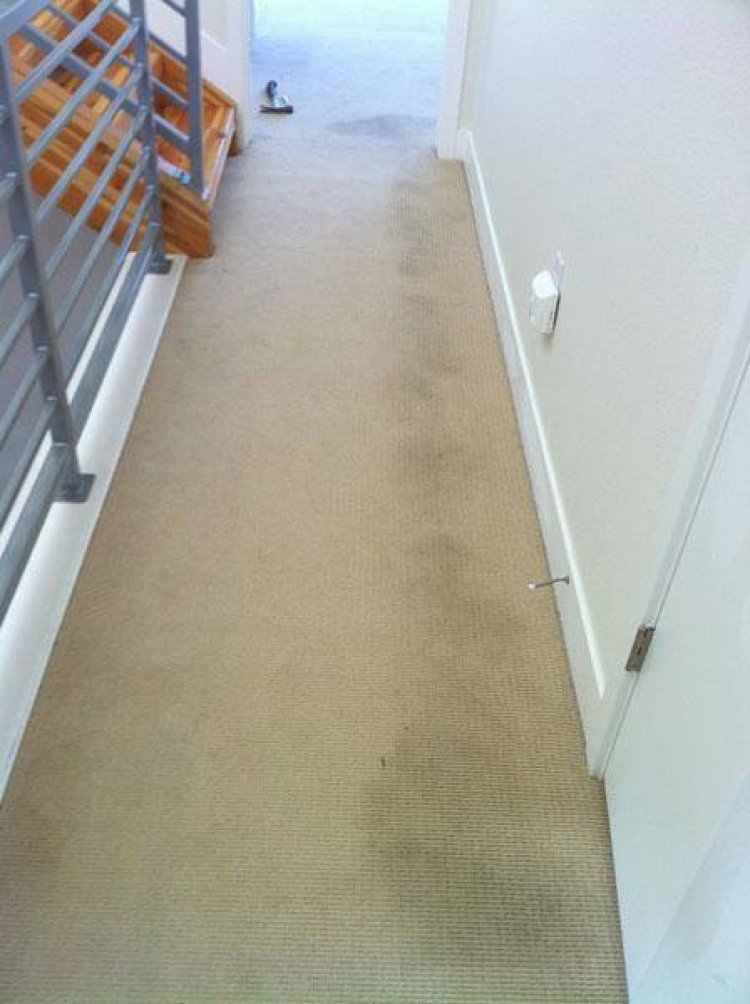 Online Access To Professional Carpet Cleaning Services!
