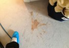 How Can I Get Vomit Stains Out of My Carpet?