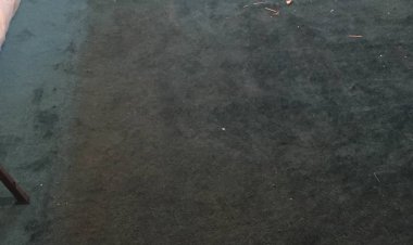 Check Out These 5 Suggestions For A Healthier Sweet Home!