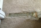 How Can I Fix Carpets That Have Holes?