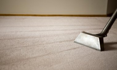 How to Remove Tough Stains From Carpets?
