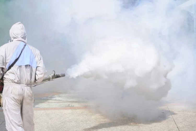 What Is Fumigation And How Does It Take Care Of Insects? - Varient ...