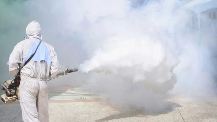 What Is Fumigation And How Does It Take Care Of Insects?
