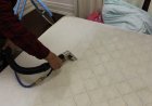 How Do I Remove Urine From A Mattress? Follow These 5 Steps