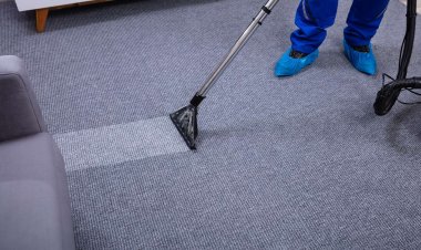 How to Clean Your Carpet Like A Pro?