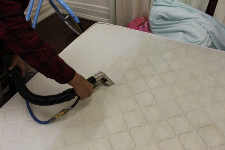How Do I Remove Urine From A Mattress? Follow These 5 Steps
