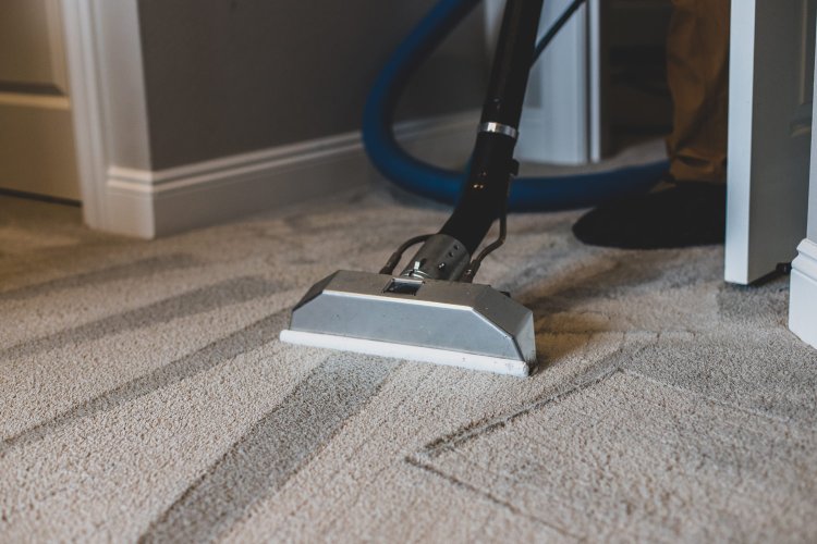 Why Professional Residential Carpet Cleaning is Essential for a Healthy Home in Brisbane